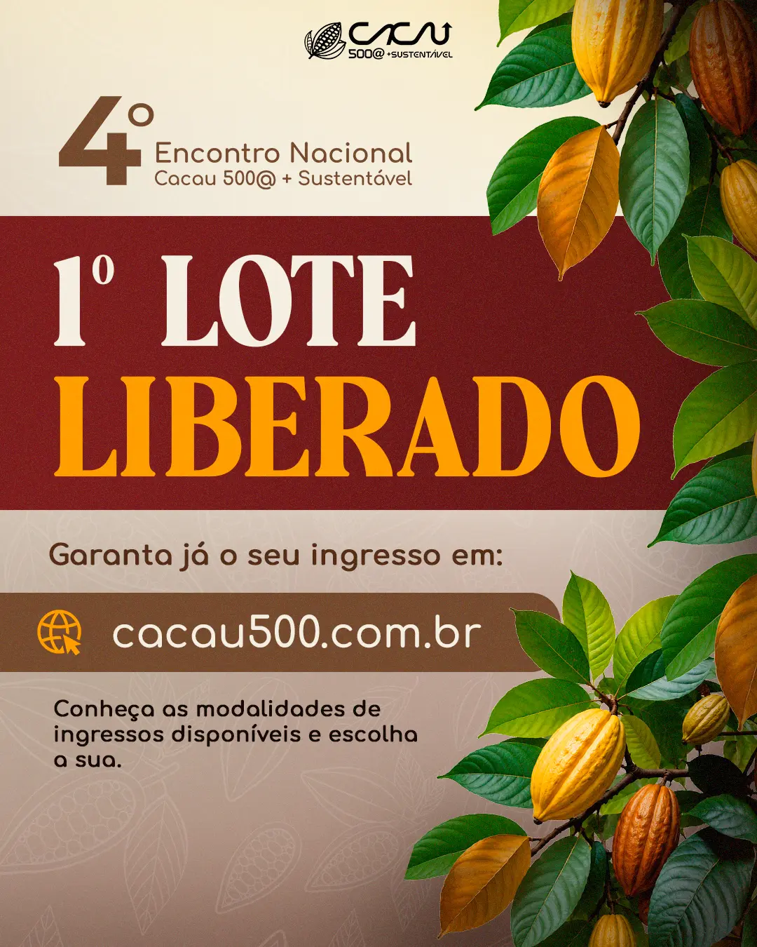 1º lote liberado — Cacau 500